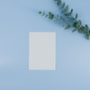 Lessive-papier PAPS (44 Feuilles)